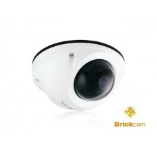 Cámara IP Domo para Exterior VD-300AF